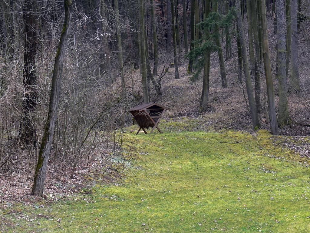 Salas-Partizánske Dış mekan fotoğraf